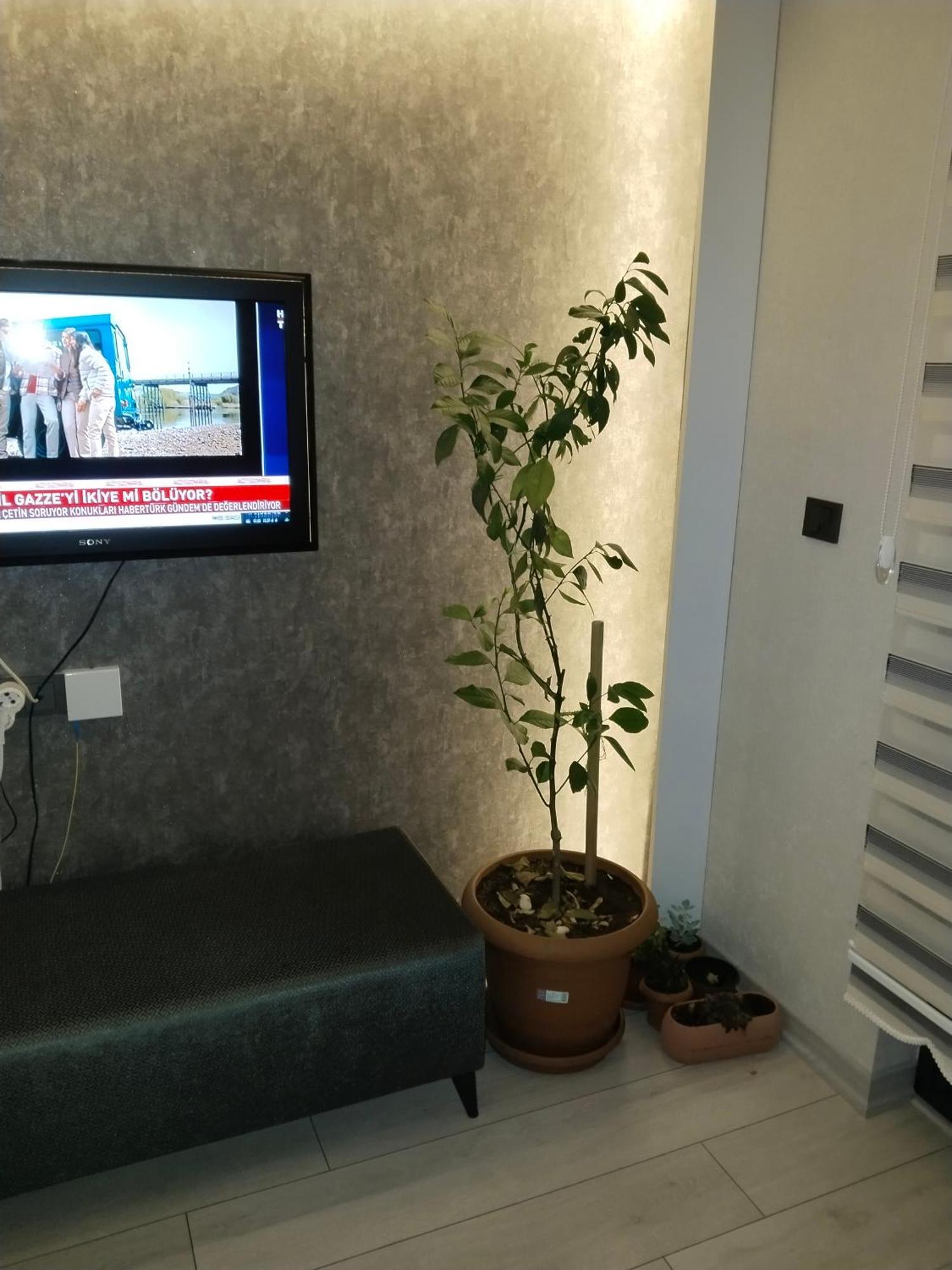 Ankara Esenboga Airport Luxury Rezidance Apart المظهر الخارجي الصورة